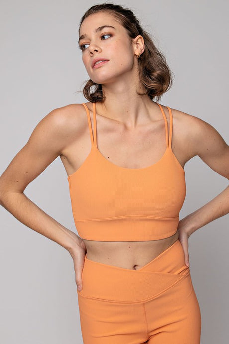 Sherbert Plus Size Nylon Rib Sports Bra