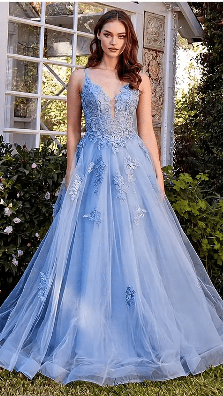 Blue Lace Appliqued A-Line Layered Tulle Gown – Aquarius Brand