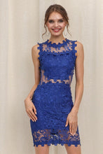 Royal Blue Mesh & Lace Cocktail Dress