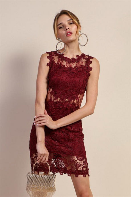 Wine Red Mesh & Lace Cocktail Dress