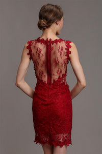 Dark Red Mesh & Lace Cocktail Dress