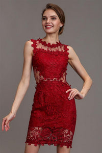 Dark Red Mesh & Lace Cocktail Dress