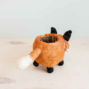 Fox Planter - Coco Coir Planters