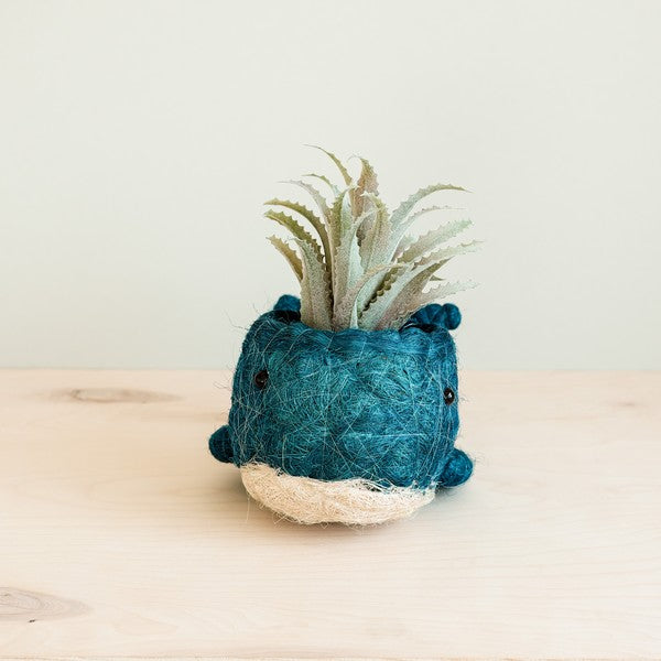 Whale Coconut Fiber Planter