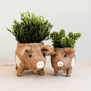 Baby Pig Succulent Pot - Handmade Planters