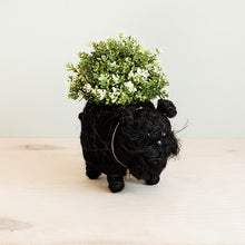 Schnauzer Coconut Fiber Planter