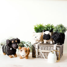Schnauzer Coconut Fiber Planter