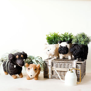 Schnauzer Coconut Fiber Planter