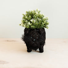 Schnauzer Coconut Fiber Planter