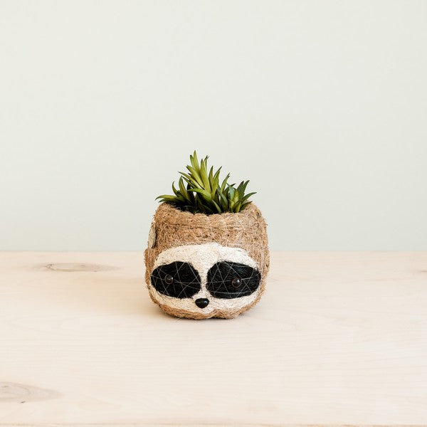 Three-Tone Sloth Coco Coir Planter