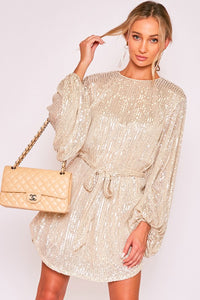 Taupe Round Neck Balloon Sleeve Sequin Dress