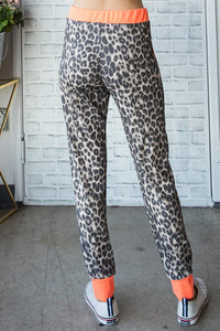 Orange Leopard Stretch Waist Pants