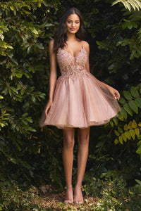 Blush Cute Princess Embroidered Lace Evening Dress