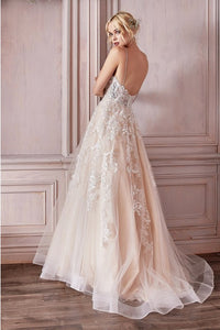 Champagne Embroidered Lace Slip Tulle Wedding Dress