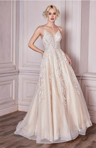 Champagne Embroidered Lace Slip Tulle Wedding Dress