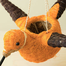 Hummingbird Planter - Coco Coir