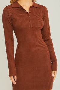 Auburn Long Sleeve Ribbed Polo Dress