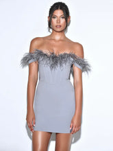 Lena Grey Off Shoulder Feather Corset Dress