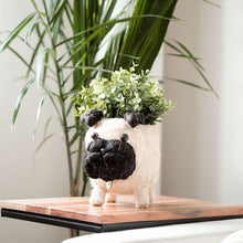 Pug Planter - Coco Coir Pots