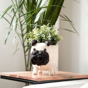 Pug Planter - Coco Coir Pots