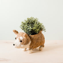 Corgi Succulent Pot - Handmade Planters