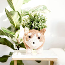 Corgi Succulent Pot - Handmade Planters