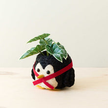 Penguin Planter - Coco Coir Pot
