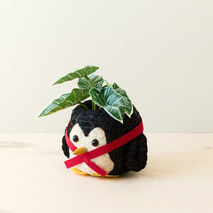 Penguin Planter - Coco Coir Pot