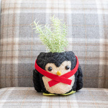 Penguin Planter - Coco Coir Pot