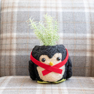 Penguin Planter - Coco Coir Pot
