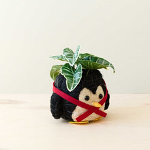 Penguin Planter - Coco Coir Pot
