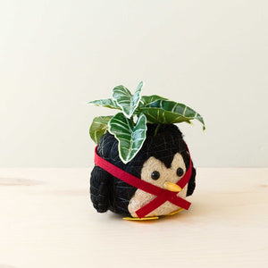 Penguin Planter - Coco Coir Pot