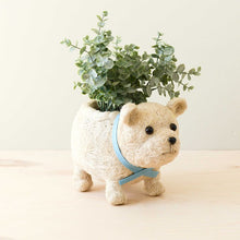 Polar Bear Planter - Handmade Plant Pot