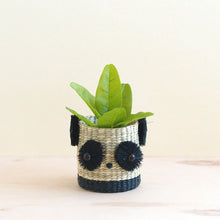 Panda Seagrass Basket Planter - Animal Planter