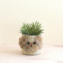 Dog Seagrass Basket Planter - Planter Basket
