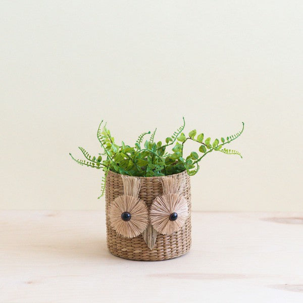 Owl Seagrass Basket Planter - Succulent Plant Pot