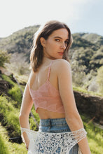 Blush Butterfly Scallop Lace Bralette