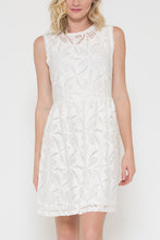 Lace Overlay Dress