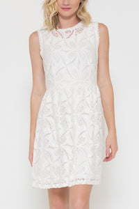 Lace Overlay Dress