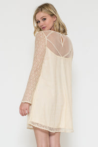 Long Sleeve Lace and Bead Embroidery Dress