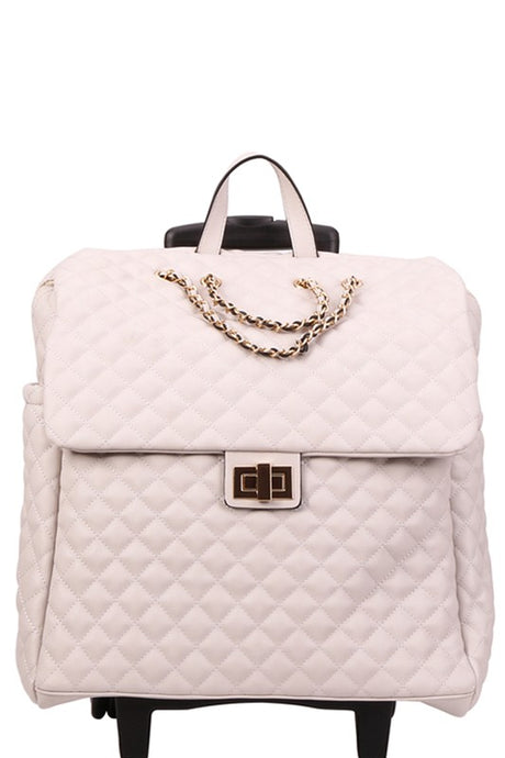 Champagne Fashion Luggage