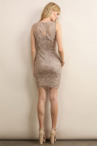 Lace Yoke Sheath Dress