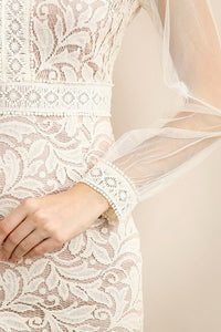 See-Through Mesh Long Sleeve Lace Dress