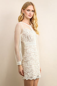 See-Through Mesh Long Sleeve Lace Dress