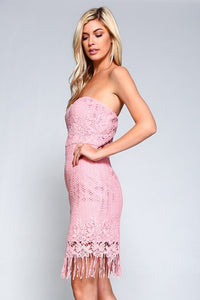 Pink Laced Fitted Dress With Fringe
