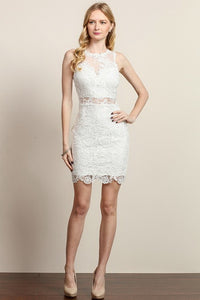 White Lace Fitted Short Dress
