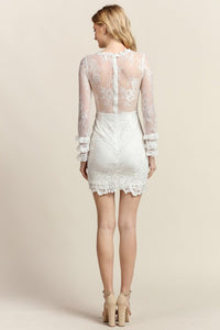 Ruffle Tier Detail Long Sleeve Fitted And Mesh Lace Dress
