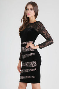 Black Sheer Lace Velvet Dress