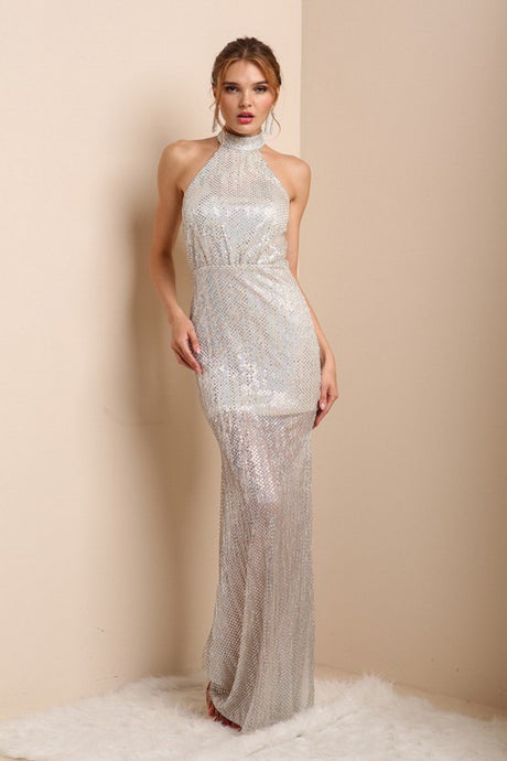 Silver Shimmery See Through Legs Long Dress