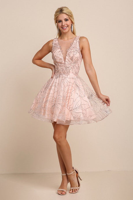 Blush Embroidery Beaded Mini Flare Dress